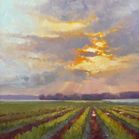 Kari Ganoung Ruiz - Shifting Shadows