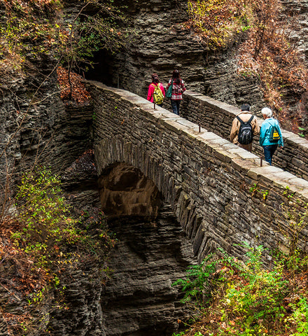 Stereographic Card - Watkins Glen #02
