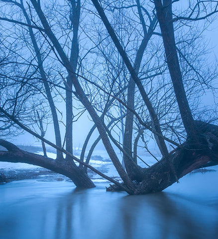 Stereographic Card - Obscured Light