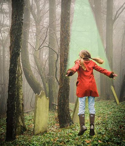 Stereographic Card - (figurative) The Abduction