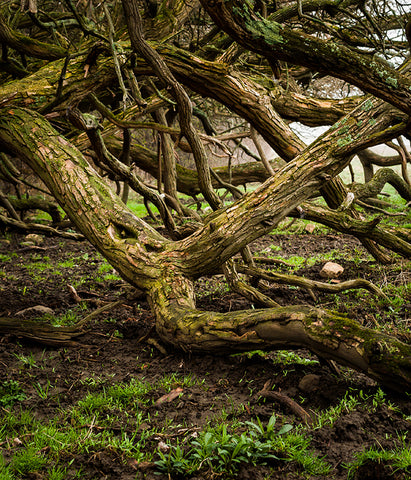 Stereographic Card - Entry Denied