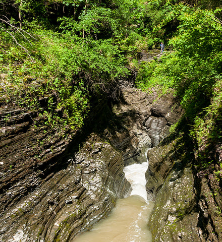 Stereographic Card - Watkins Glen #19
