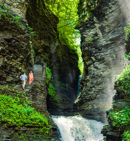 Stereographic Card - Watkins Glen #13