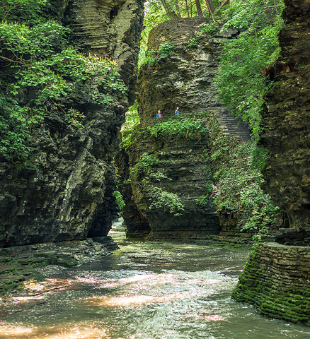 Stereographic Card - Watkins Glen #20