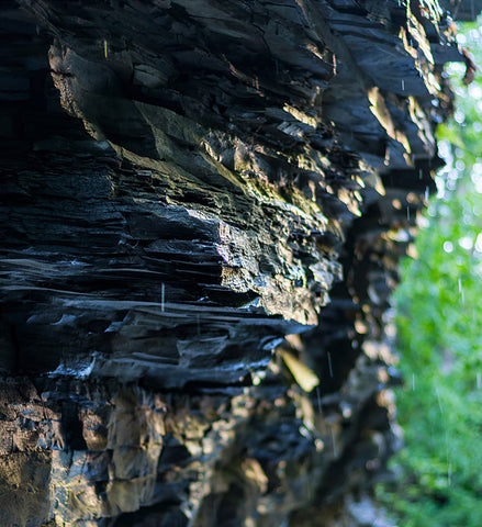 Stereographic Card - Watkins Glen #10