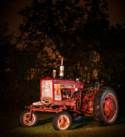 Stereographic Card - (farm) Asleep in the Grove