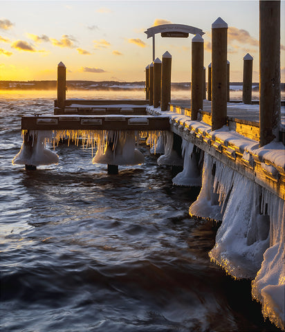 Stereographic Card - Winter Clings