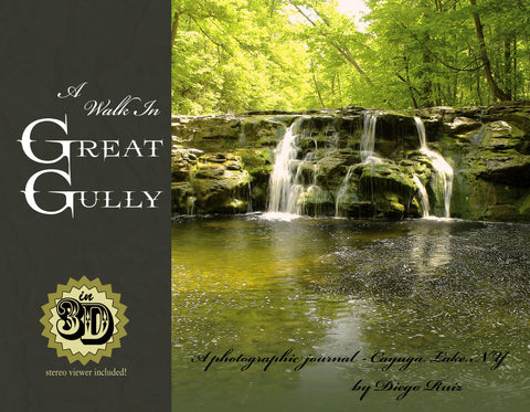 3D Book - A Walk In Great Gully