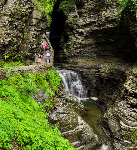 Stereographic Card - Watkins Glen #21