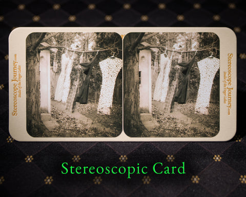 Stereographic Card - Friends Adrift