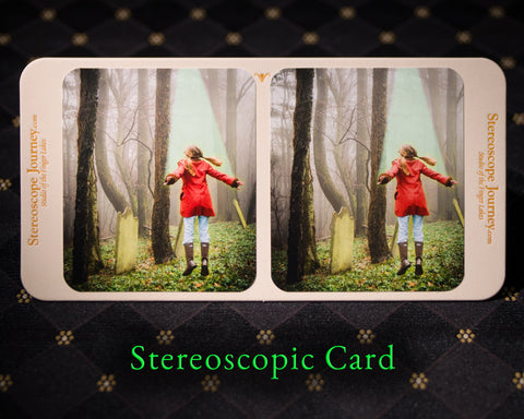 Stereographic Card - (figurative) The Abduction
