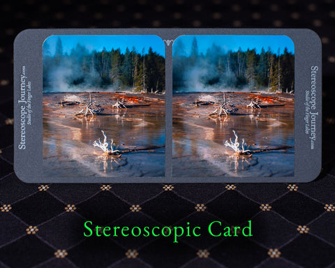 dead trees in a geyser stereocard
