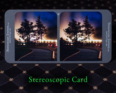 night scene with geyser steam and trees