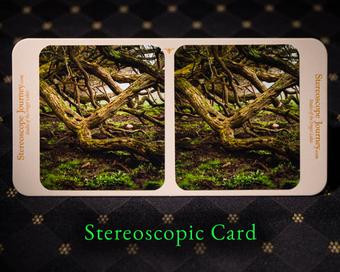 Stereographic Card - Entry Denied