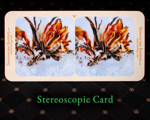 Stereographic Card - (flora) Summer Has Fallen
