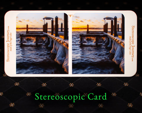 Stereographic Card - Winter Clings