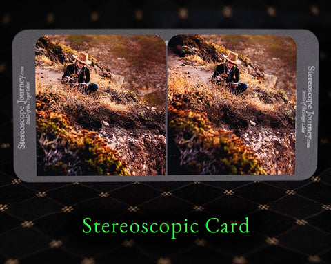Stereographic Card - (california) Pacific Cliff