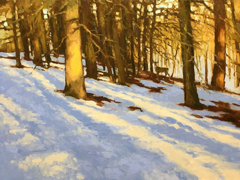 Kari Ganoung Ruiz - Forest Refuge