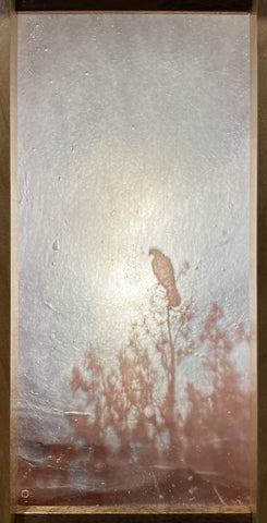 Copperesque - Illumination, Vigilant Rest