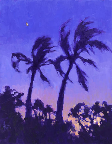 Kari Ganoung Ruiz - Windy Night, Coral Cove