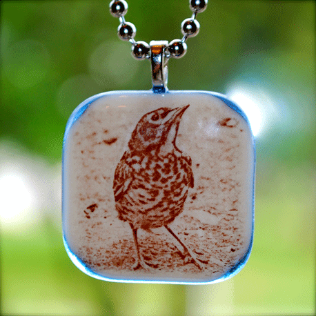 Copperesque ~ Bird Buddy