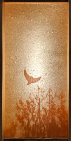 Copperesque - Illumination, The FlyBy