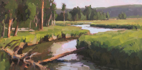 Kari Ganoung Ruiz - Yellowstone Day