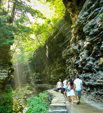 Stereographic Card - Watkins Glen #11