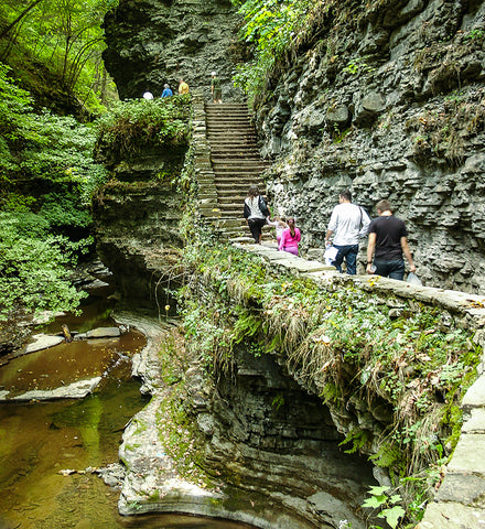 Stereographic Card - Watkins Glen #12